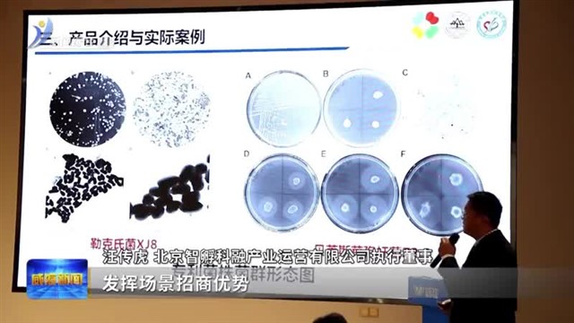 创业加速营赋能：资本对接 激发创新活力