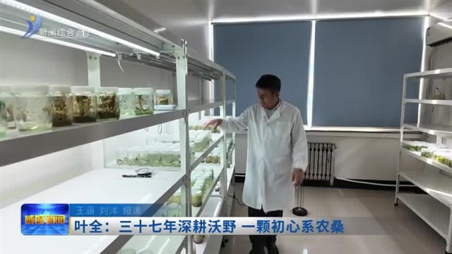 叶全：三十七年深耕沃野 一颗初心系农桑