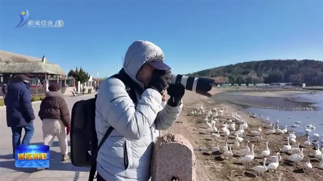 老干部之家摄影俱乐部摄影游学走进荣成