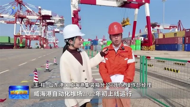 学习贯彻党的二十届四中全会精神|会“思考”的港口