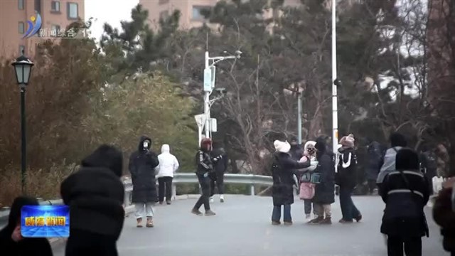 威海迎初雪 火炬八街引客来
