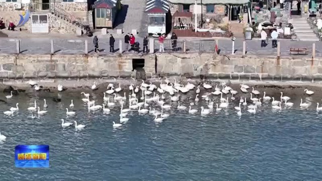 冬游荣成 山海寻韵