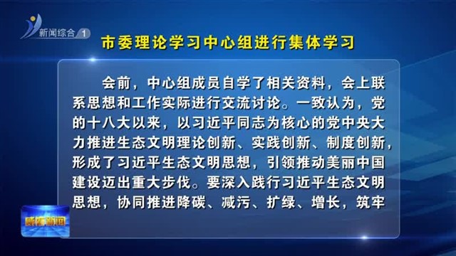 市委理论学习中心组进行集体学习
