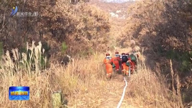 “空天地”立体防控 临港区护14.2万亩林地安全