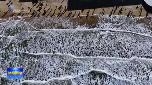 乘着高铁 邂逅一场冬日的浪漫