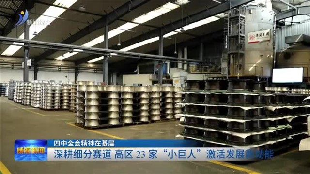 深耕细分赛道 高区 23 家“小巨人”激活发展新动能