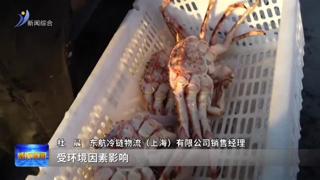 荣成口岸迎来2026年首船进口活帝王蟹
