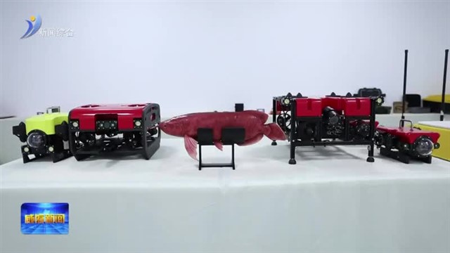 从“深海眼”到“无鳞鱼”威海智造双绝技拿下50国订单