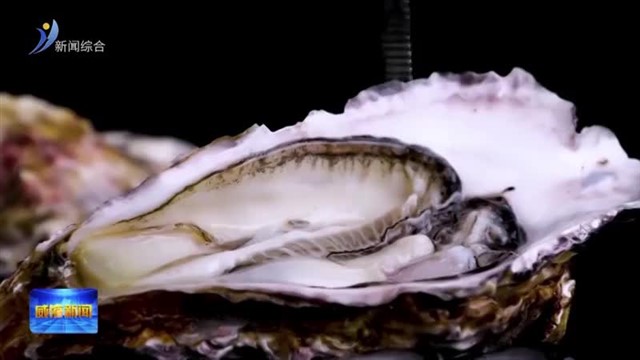 乳山牡蛎国家地理标志保护示范区成功入选国家级示范区