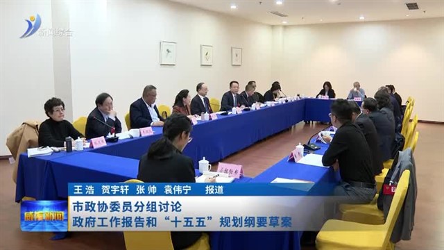市政协委员分组讨论政府工作报告和“十五五”规划纲要草案