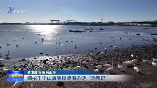 潮拍千里山海解锁威海冬游“热密码”