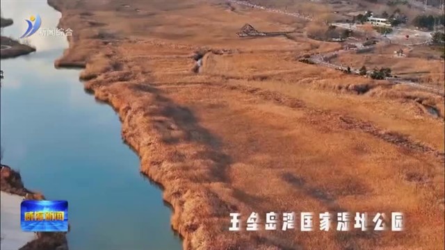 冬游南海新区：一半乒乓热血 一半生态诗意