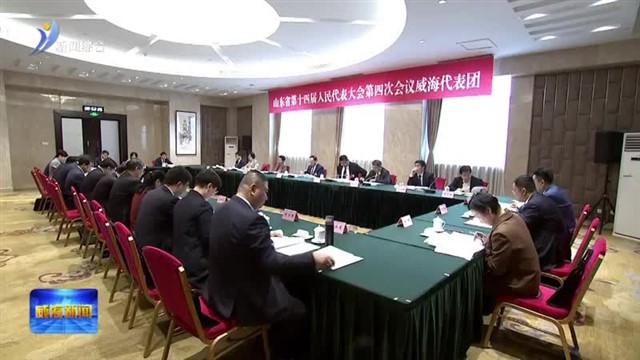 住威省政协委员分组讨论省政府工作报告 林强出席