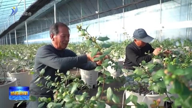 向“富”而行  振兴乡村