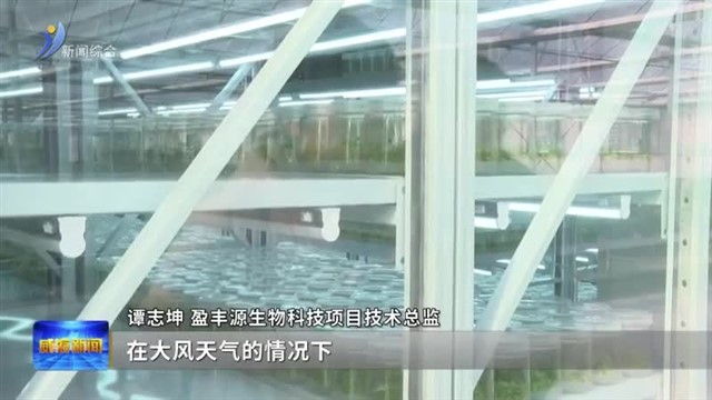 “气象＋保险” 科技护航草莓特色产业