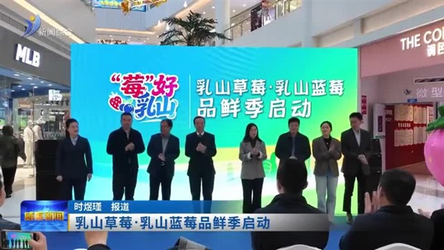 乳山草莓.乳山蓝莓品鲜季活动启动
