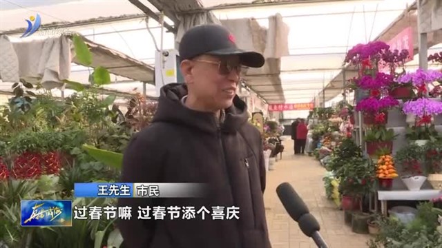 年宵花走俏 市民忙添“年味”