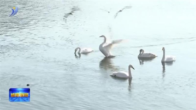 湿地保护：传统智慧与现代守护的约定