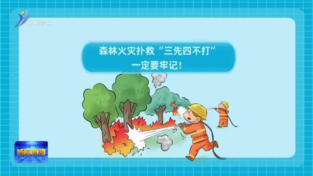 森林火灾扑救“三先四不打”