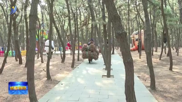 从源头消除火险 高区林海公园开展“林下清零”行动