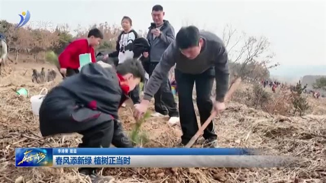 春风添新绿 植树正当时