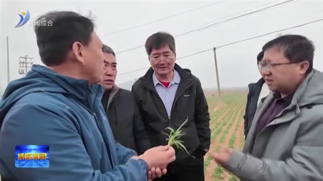 荣成：农技培训进麦田