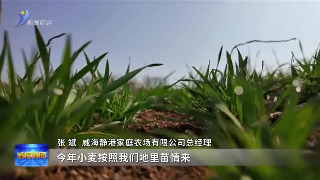 春风沃野启新程 春耕备播正当时