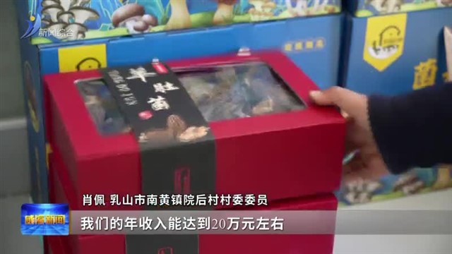 羊肚菌上市 助力富民增收