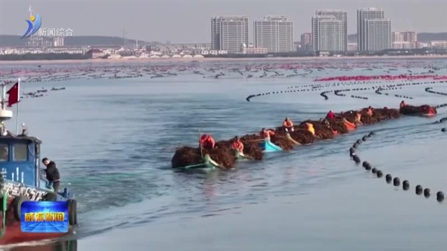 技术创新驱动产业升级