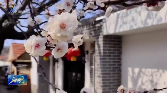 威海私藏后花园 | 里口山的春日慢时光