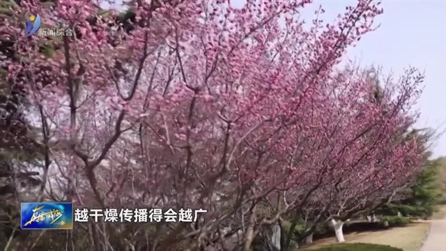 花粉传播高峰期 园林绿化多项措施降低花粉困扰