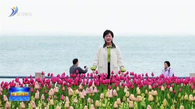 威海春天使用说明书  初见 浪漫