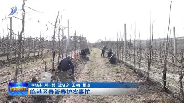 临港区春管春护农事忙