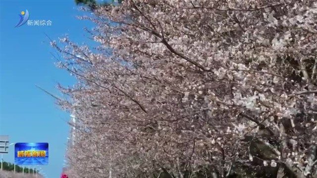 经开区春日限定浪漫上线