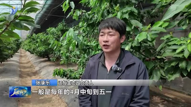 一票联采畅享多元采摘乐趣