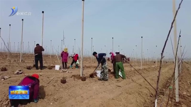 新技术新品种新农人 绘就现代农业“新丰景”