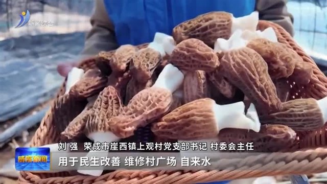 特色种植结硕果 产业兴旺促振兴