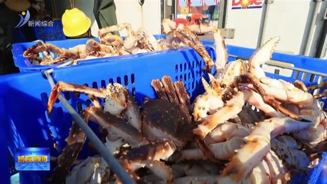 40天到货386吨帝王蟹 威海鲜活水产品进口集散地活力涌动